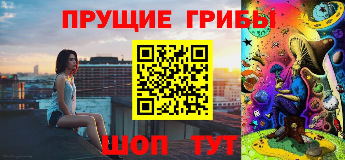 Псилоцибиновые грибы Psilocybe  Псилоцибиновые грибы GOLDEN TEACHER  Тайшет  что такое наркотик  Вход с VPN 